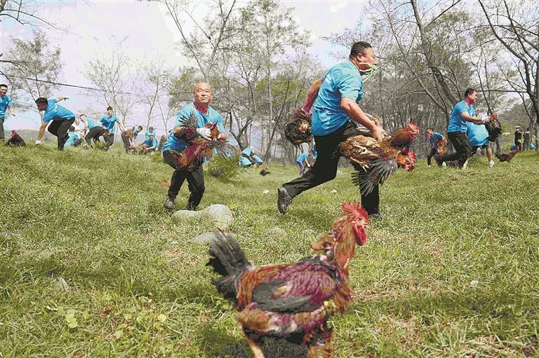 传统品牌活 传统品牌活