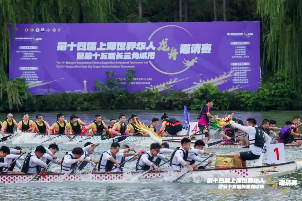 经过激烈竞, 作为青浦 经过激烈竞, 作为青浦