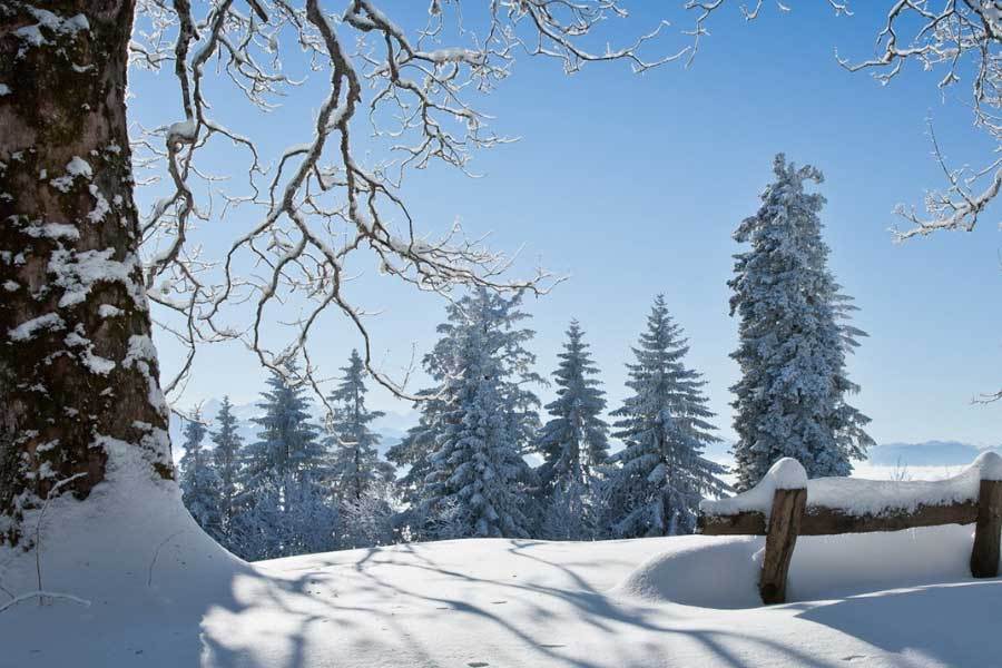 视觉与心灵 视觉与心灵